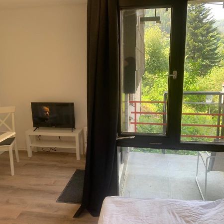 Kleines Einzimmer-Apartment 14 Bad Wildbad Eksteriør billede